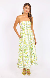 Dandelion Dreams Tube Maxi Dress