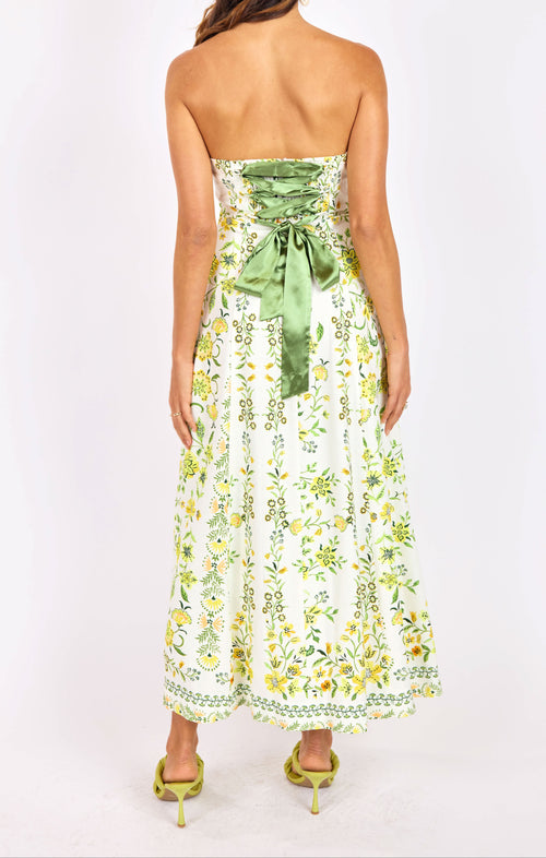Dandelion Dreams Tube Maxi Dress in Citron Multi - back crop view