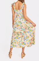 Nostalgic Paradise Dress in Color - back crop view