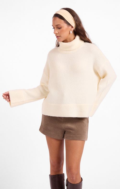Sammy Turtleneck Sweater