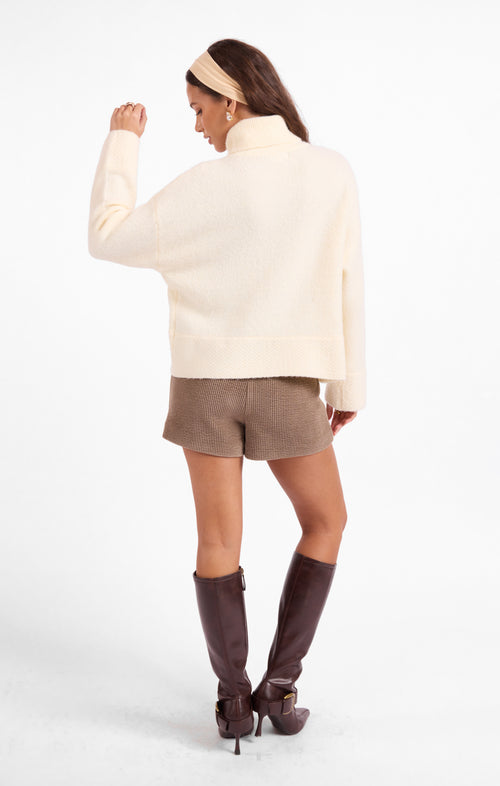 Sammy Turtleneck Sweater